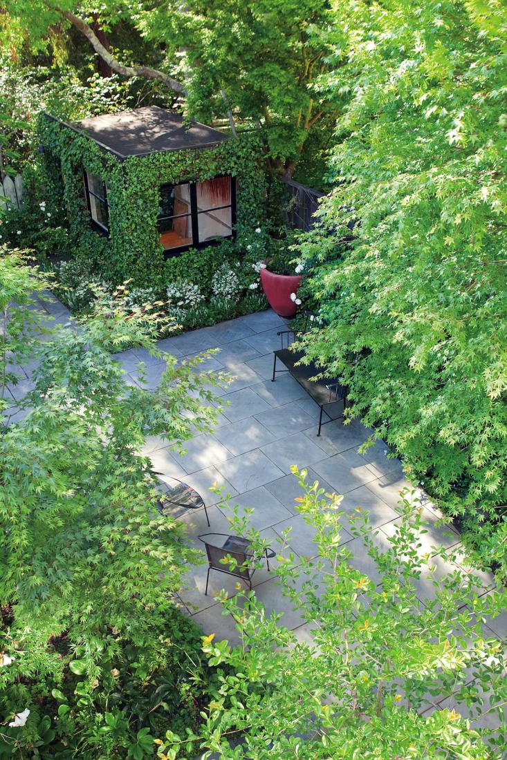 Scott Lewis Version of a Green Garden in a San Francisco Backyard - Livin  Spaces