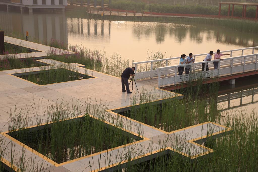Linked To Nature Tianjin Bridged Gardens By Turenscape Design