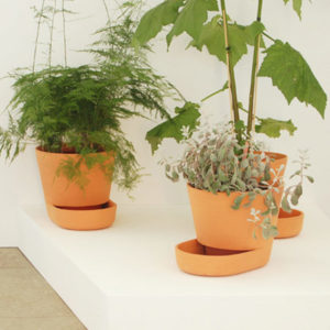 plant-pots_uli-budde3.jpg