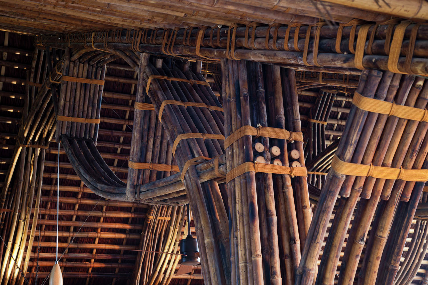 11_detail-of-bamboo