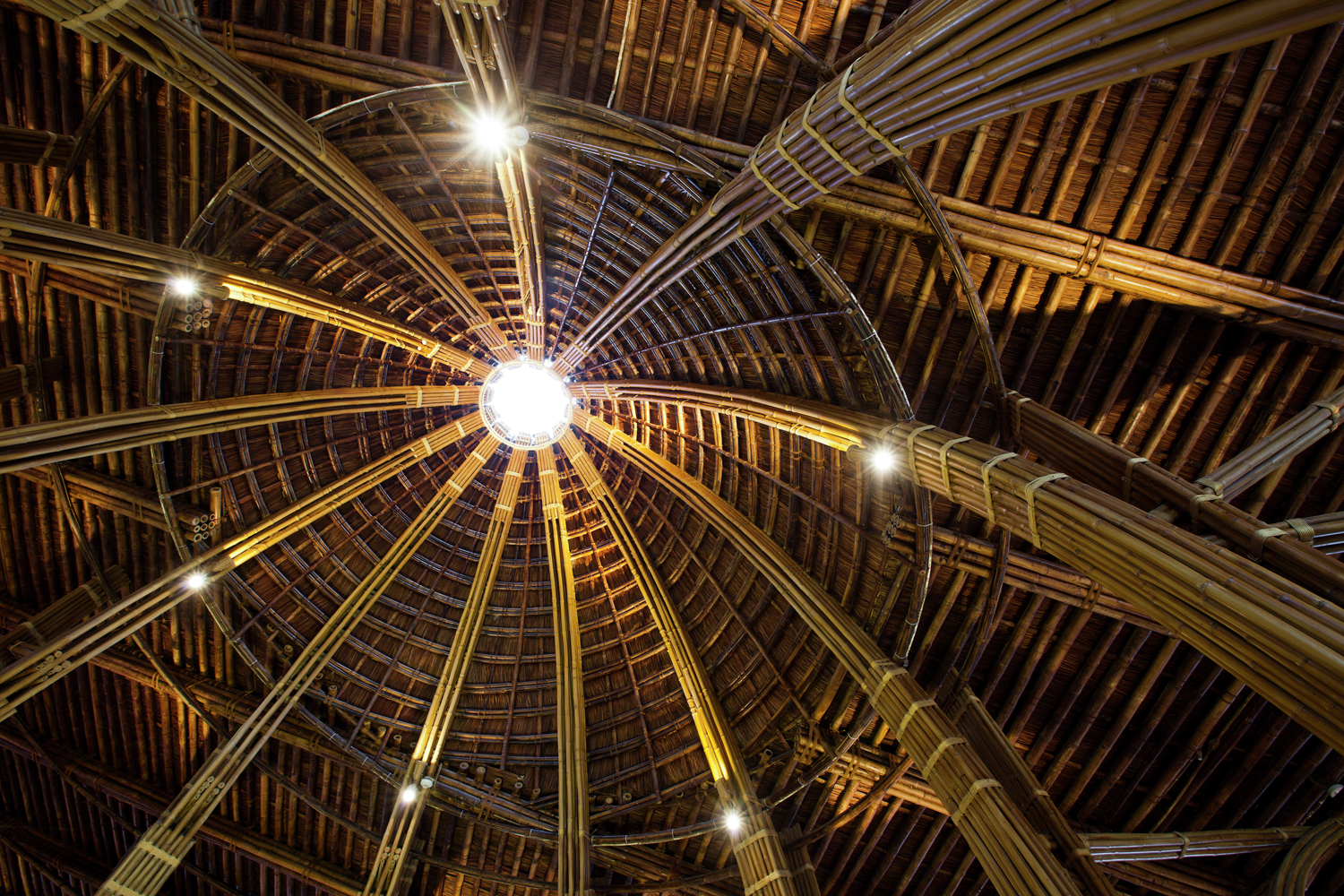 09_view-up-bamboo-dome