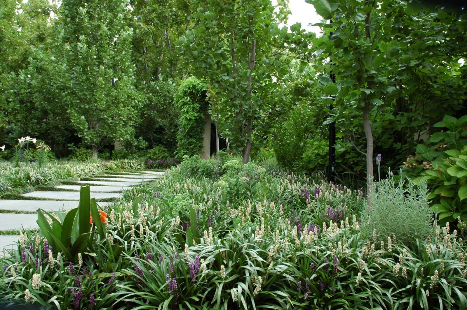 lillie-garden-by-eckersley-garden-architecture-malvern-victoria-2