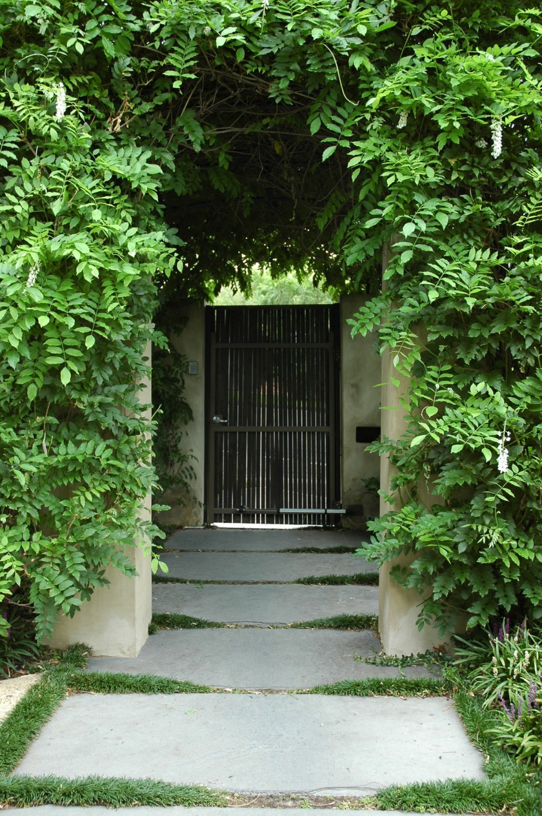 lillie-garden-by-eckersley-garden-architecuture-malvern-victoria-6