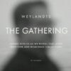 Weylandts The Gathering Flyer