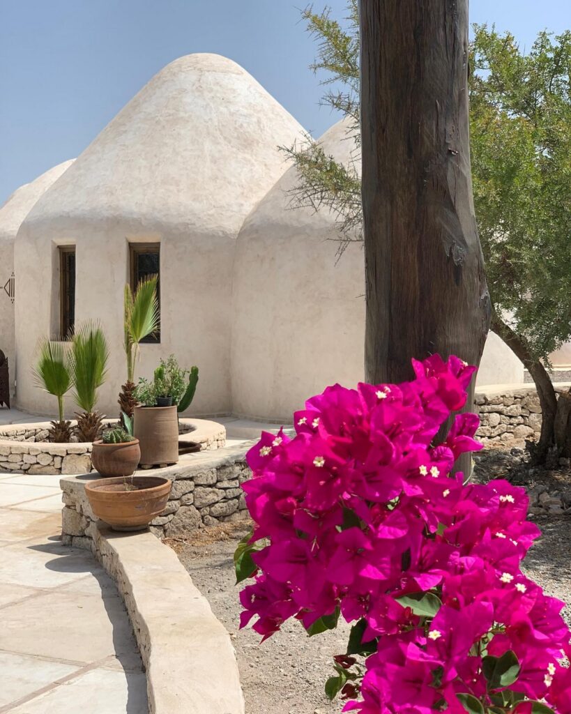 Pink flower in Ecodomes by Villa Maroc