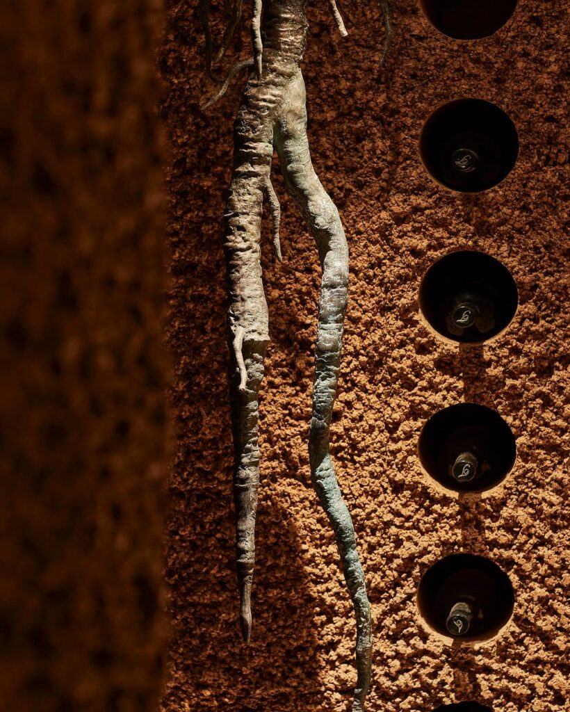 Close up of Cork Wine Cellar in Cape Town By Wiid Designs