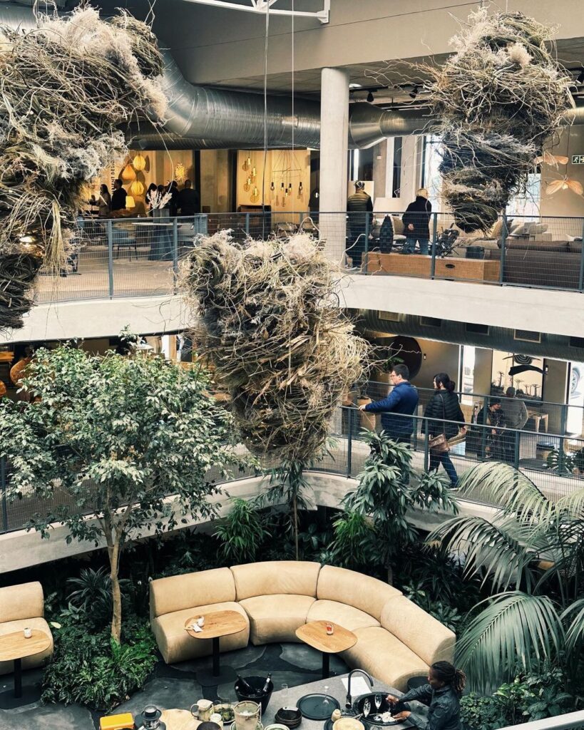 New Home and Lifestyle Store in Pretoria by Weylandts with numerous plants suspended from the ceiling.