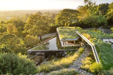 The house with a green roof is nestled among lush trees.