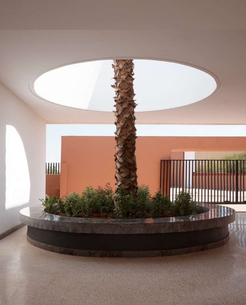 Tree in the centre of the circular courtyard.