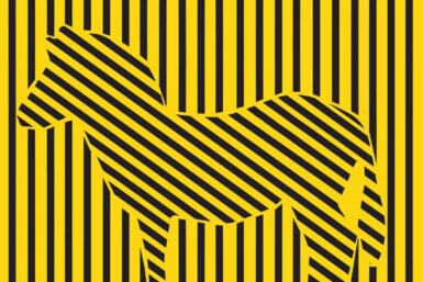 Join the Open Streets Experiment At Bree Street Every Sunday